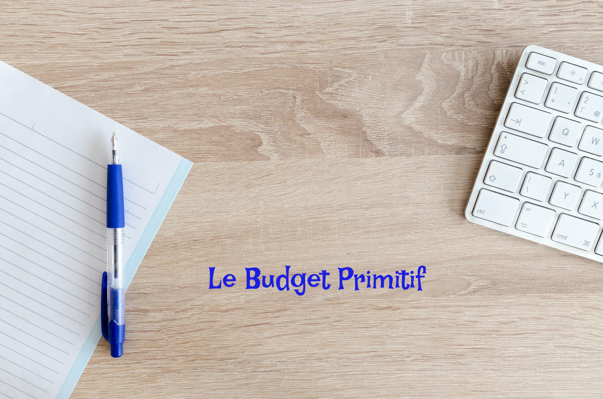 Le Budget Primitif