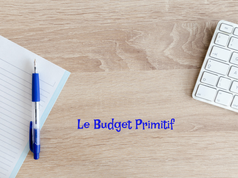 Le Budget Primitif