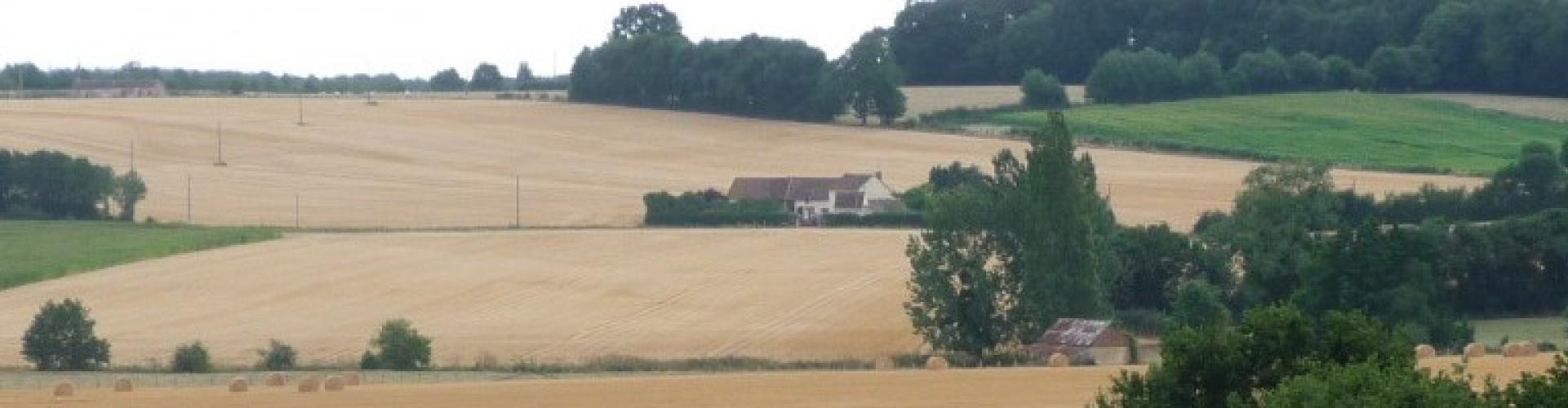 Campagne de Cormes